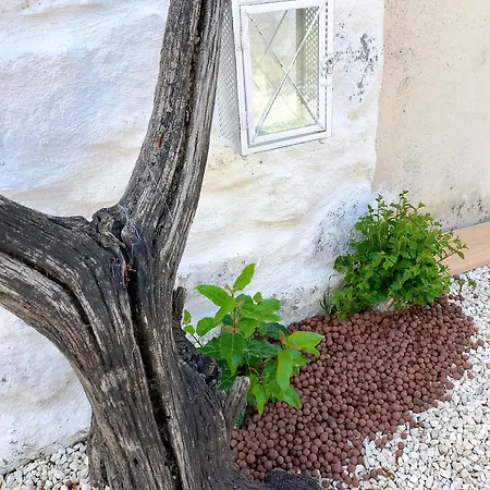 Сasa de vacaciones Maisonnette Soleil