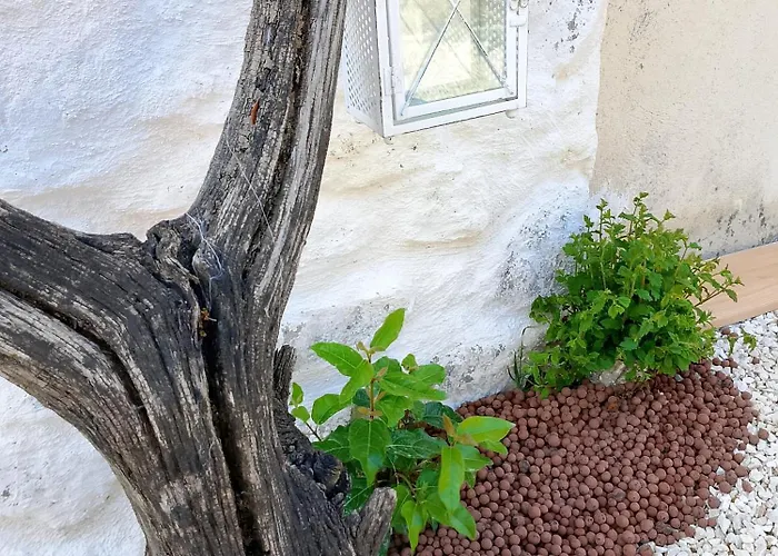 Semesterbostad Maisonnette Soleil